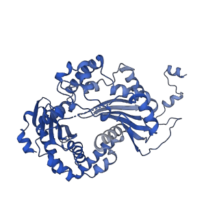 25882_7tgh_3a_v1-1
Cryo-EM structure of respiratory super-complex CI+III2 from Tetrahymena thermophila