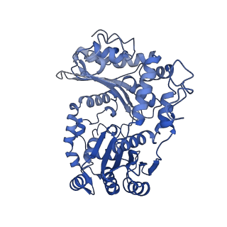 25882_7tgh_3b_v1-1
Cryo-EM structure of respiratory super-complex CI+III2 from Tetrahymena thermophila