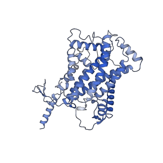 25882_7tgh_3c_v1-1
Cryo-EM structure of respiratory super-complex CI+III2 from Tetrahymena thermophila