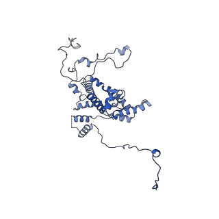 25882_7tgh_3g_v1-1
Cryo-EM structure of respiratory super-complex CI+III2 from Tetrahymena thermophila