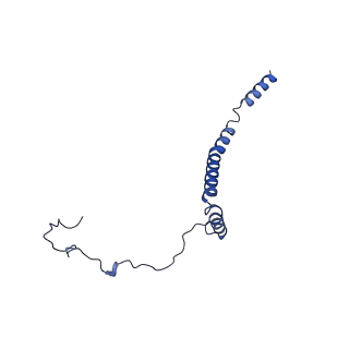 25882_7tgh_3i_v1-1
Cryo-EM structure of respiratory super-complex CI+III2 from Tetrahymena thermophila