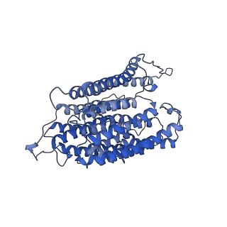 25882_7tgh_4_v1-1
Cryo-EM structure of respiratory super-complex CI+III2 from Tetrahymena thermophila