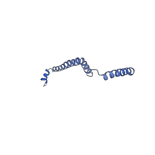 25882_7tgh_5B_v1-1
Cryo-EM structure of respiratory super-complex CI+III2 from Tetrahymena thermophila