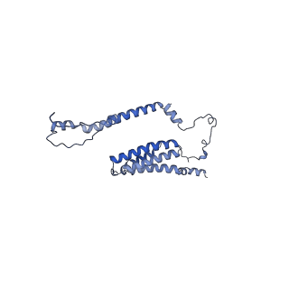 25882_7tgh_6_v1-1
Cryo-EM structure of respiratory super-complex CI+III2 from Tetrahymena thermophila
