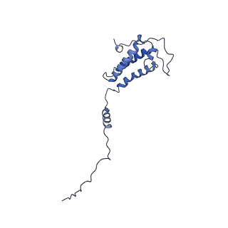 25882_7tgh_A5_v1-1
Cryo-EM structure of respiratory super-complex CI+III2 from Tetrahymena thermophila