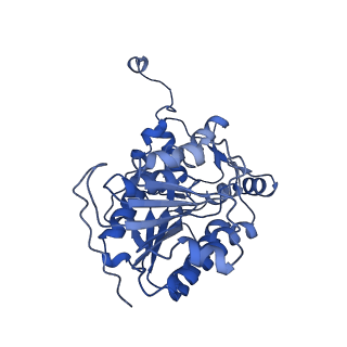 25882_7tgh_A9_v1-1
Cryo-EM structure of respiratory super-complex CI+III2 from Tetrahymena thermophila