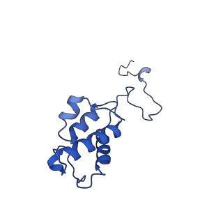 25882_7tgh_AB_v1-1
Cryo-EM structure of respiratory super-complex CI+III2 from Tetrahymena thermophila