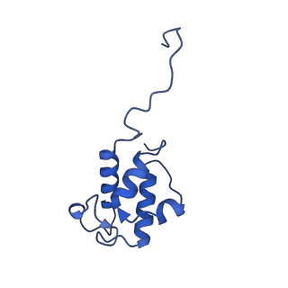 25882_7tgh_AC_v1-1
Cryo-EM structure of respiratory super-complex CI+III2 from Tetrahymena thermophila