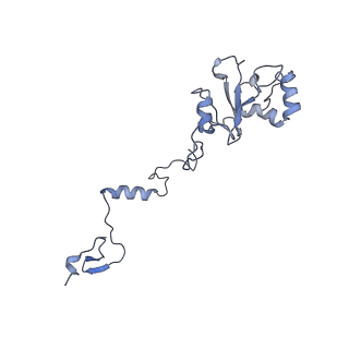 25882_7tgh_AL_v1-1
Cryo-EM structure of respiratory super-complex CI+III2 from Tetrahymena thermophila
