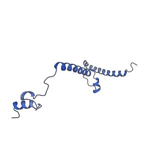 25882_7tgh_B2_v1-1
Cryo-EM structure of respiratory super-complex CI+III2 from Tetrahymena thermophila