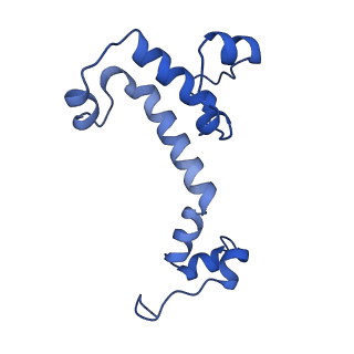 25882_7tgh_B7_v1-1
Cryo-EM structure of respiratory super-complex CI+III2 from Tetrahymena thermophila