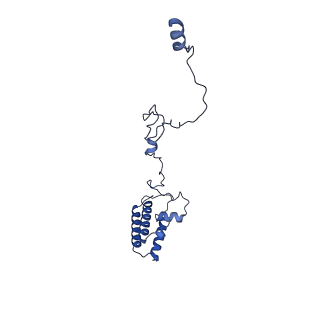 25882_7tgh_B9_v1-1
Cryo-EM structure of respiratory super-complex CI+III2 from Tetrahymena thermophila