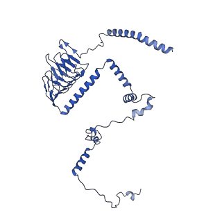 25882_7tgh_C3_v1-1
Cryo-EM structure of respiratory super-complex CI+III2 from Tetrahymena thermophila