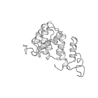 25882_7tgh_C_v1-1
Cryo-EM structure of respiratory super-complex CI+III2 from Tetrahymena thermophila