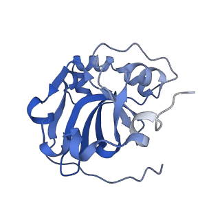 25882_7tgh_P2_v1-1
Cryo-EM structure of respiratory super-complex CI+III2 from Tetrahymena thermophila