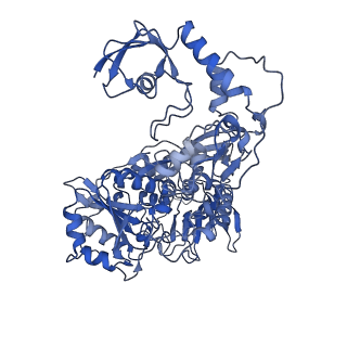 25882_7tgh_S1_v1-1
Cryo-EM structure of respiratory super-complex CI+III2 from Tetrahymena thermophila