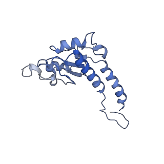 25882_7tgh_S7_v1-1
Cryo-EM structure of respiratory super-complex CI+III2 from Tetrahymena thermophila