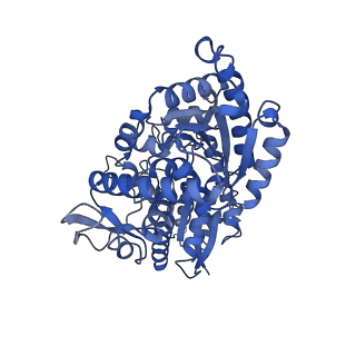 25882_7tgh_T1_v1-1
Cryo-EM structure of respiratory super-complex CI+III2 from Tetrahymena thermophila