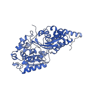 25882_7tgh_V1_v1-1
Cryo-EM structure of respiratory super-complex CI+III2 from Tetrahymena thermophila