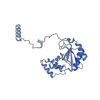 25882_7tgh_V2_v1-1
Cryo-EM structure of respiratory super-complex CI+III2 from Tetrahymena thermophila