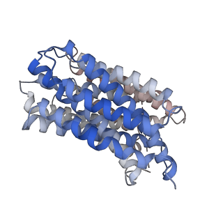 41235_8tgg_B_v1-0
VMAT1 dimer with MPP+ and reserpine