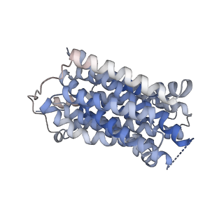 41237_8tgi_A_v1-0
VMAT1 dimer with dopamine and reserpine