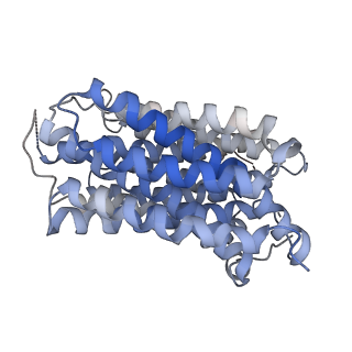 41237_8tgi_B_v1-0
VMAT1 dimer with dopamine and reserpine