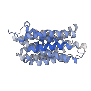 41238_8tgj_A_v1-0
VMAT1 dimer in unbound form and with reserpine