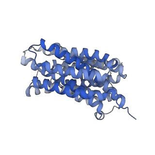 41239_8tgk_A_v1-0
VMAT1 dimer with histamine and reserpine