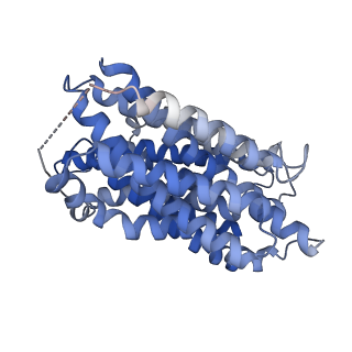 41239_8tgk_B_v1-0
VMAT1 dimer with histamine and reserpine