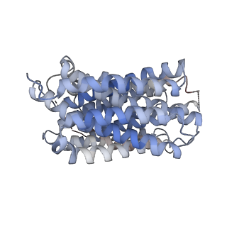 41240_8tgl_B_v1-0
VMAT1 dimer with norepinephrine and reserpine