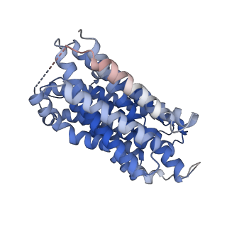 41241_8tgm_A_v1-0
VMAT1 dimer with reserpine