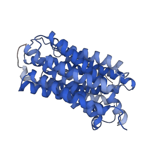 41241_8tgm_B_v1-0
VMAT1 dimer with reserpine