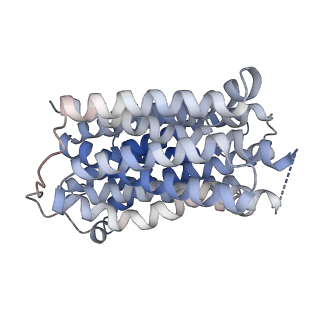 41242_8tgn_A_v1-0
VMAT1 dimer with serotonin and reserpine