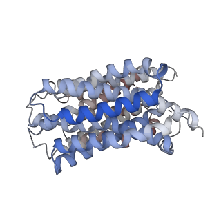 41242_8tgn_B_v1-0
VMAT1 dimer with serotonin and reserpine
