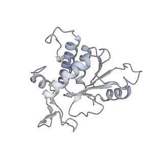 10503_6th6_Ab_v1-1
Cryo-EM Structure of T. kodakarensis 70S ribosome