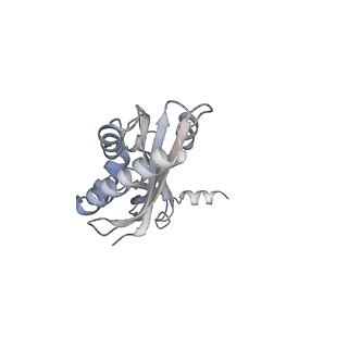 10503_6th6_Ad_v1-1
Cryo-EM Structure of T. kodakarensis 70S ribosome