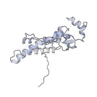 10503_6th6_Ae_v1-1
Cryo-EM Structure of T. kodakarensis 70S ribosome