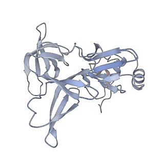 10503_6th6_Af_v1-1
Cryo-EM Structure of T. kodakarensis 70S ribosome