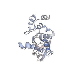 10503_6th6_Ag_v1-1
Cryo-EM Structure of T. kodakarensis 70S ribosome