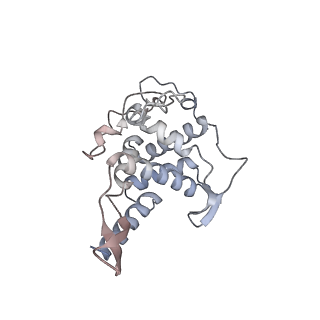 10503_6th6_Ai_v1-1
Cryo-EM Structure of T. kodakarensis 70S ribosome