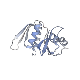 10503_6th6_Aj_v1-1
Cryo-EM Structure of T. kodakarensis 70S ribosome