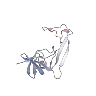 10503_6th6_Ak_v1-1
Cryo-EM Structure of T. kodakarensis 70S ribosome