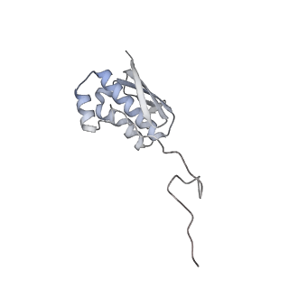 10503_6th6_Al_v1-1
Cryo-EM Structure of T. kodakarensis 70S ribosome