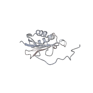 10503_6th6_An_v1-1
Cryo-EM Structure of T. kodakarensis 70S ribosome