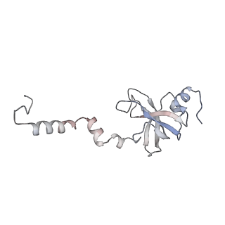 10503_6th6_Ao_v1-1
Cryo-EM Structure of T. kodakarensis 70S ribosome