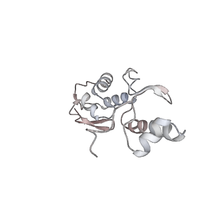 10503_6th6_Ap_v1-1
Cryo-EM Structure of T. kodakarensis 70S ribosome