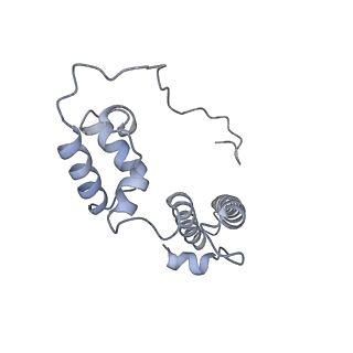 10503_6th6_Aq_v1-1
Cryo-EM Structure of T. kodakarensis 70S ribosome