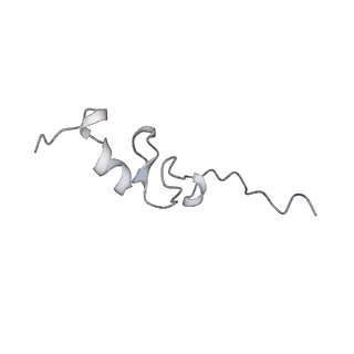 10503_6th6_Ar_v1-1
Cryo-EM Structure of T. kodakarensis 70S ribosome