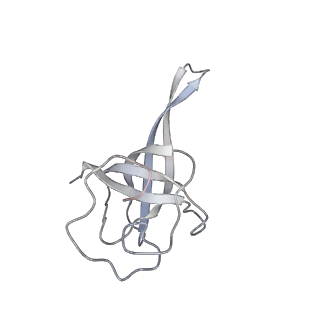 10503_6th6_As_v1-1
Cryo-EM Structure of T. kodakarensis 70S ribosome